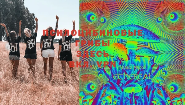 дживик Алзамай