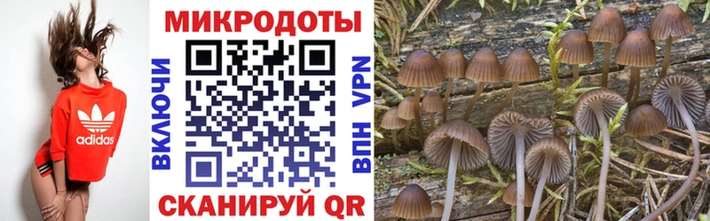ссылка на мегу маркетплейс  Курчалой  Псилоцибиновые грибы ЛСД 