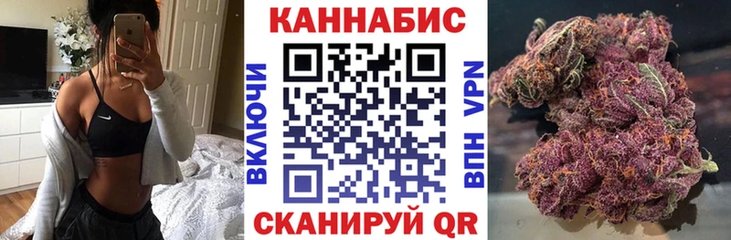 Канабис сатива Курчалой